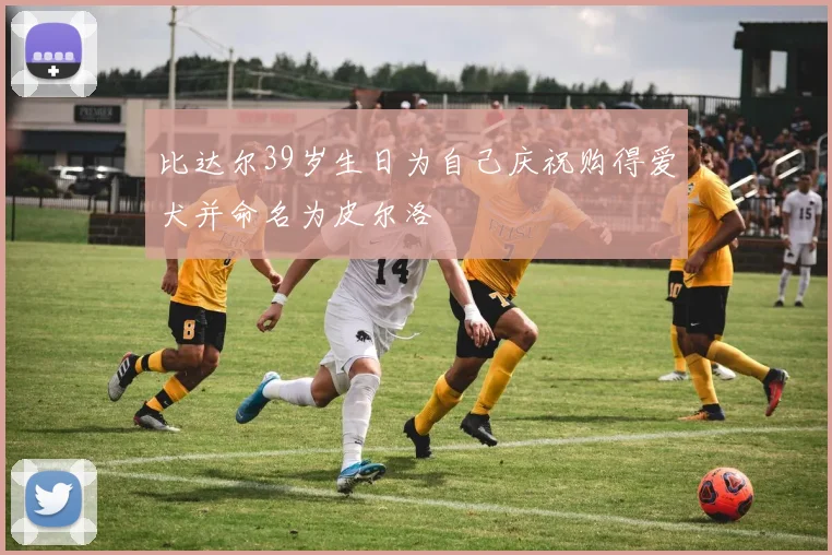 比达尔39岁生日为自己庆祝购得爱犬并命名为皮尔洛