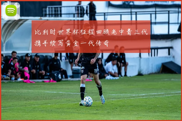 比利时世界杯征程回顾老中青三代携手续写黄金一代传奇