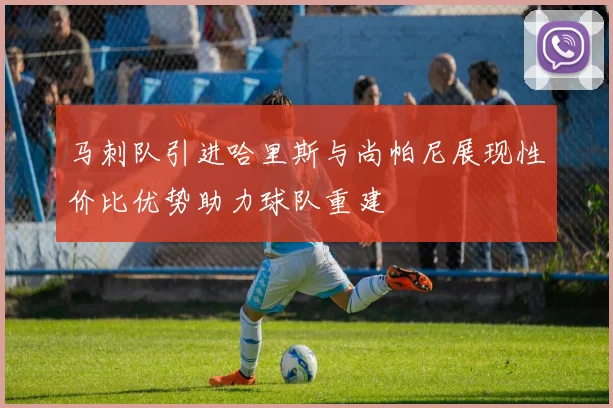 马刺队引进哈里斯与尚帕尼展现性价比优势助力球队重建